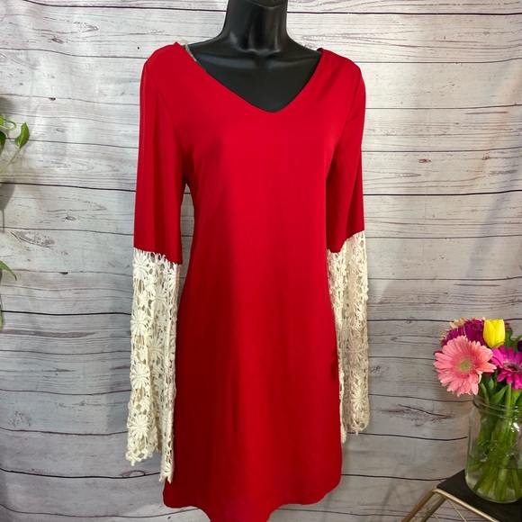 Altar'd State Dresses & Skirts - Small Altar’d State Red Mini Midi A-line Lace Bell Sleeve Dress